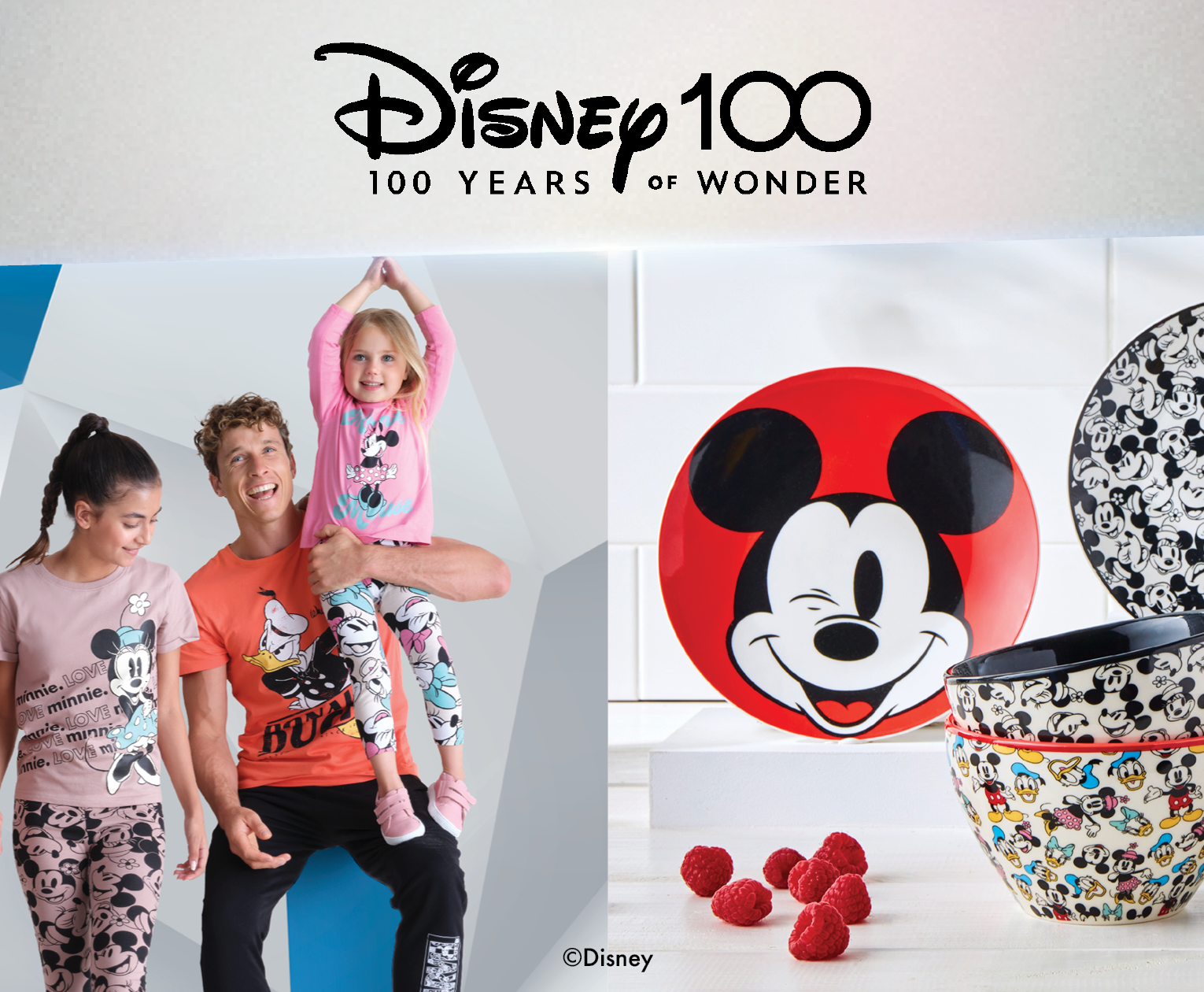 Sudadera con capucha Mickey Mouse para adultos, Disney100 Celebration