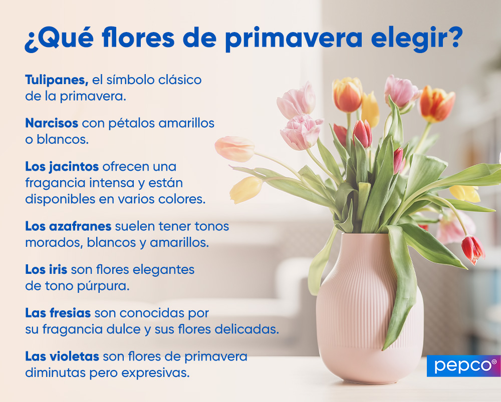 Infografía de Pepco sobre cómo elegir un jarrón para las flores
