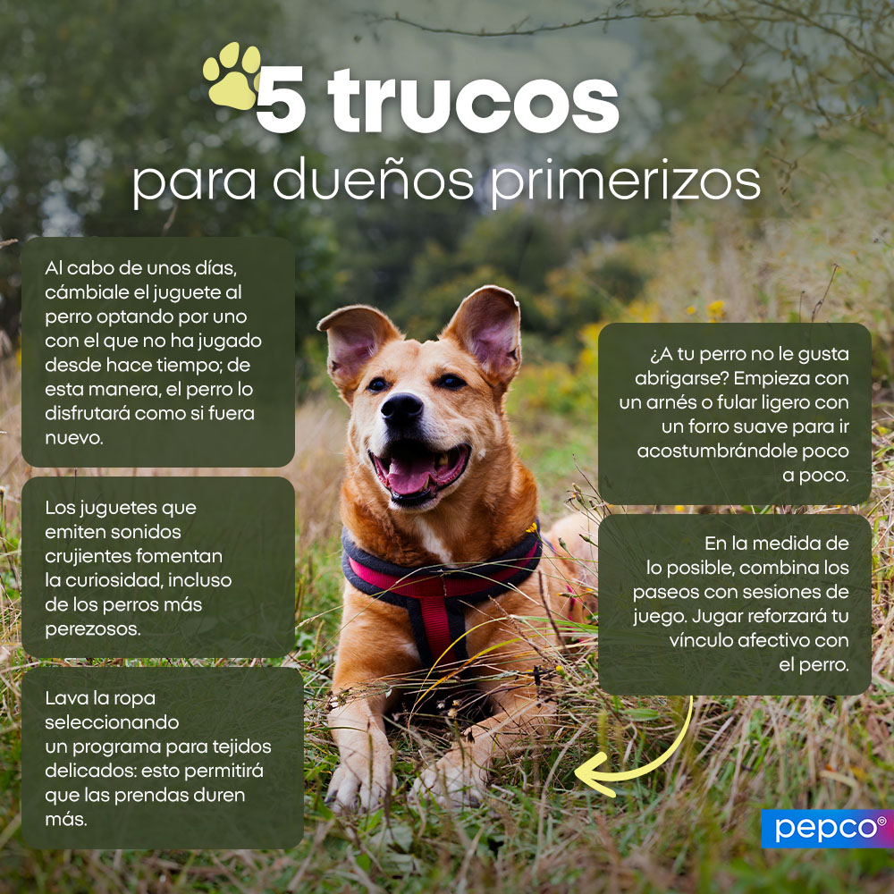 5 trucos para dueños primerizos