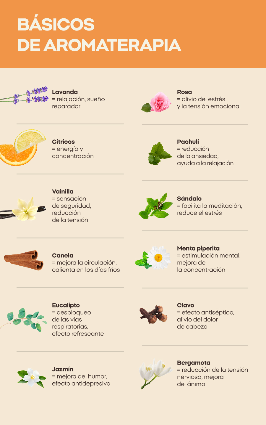 Básicos de aromaterapia 