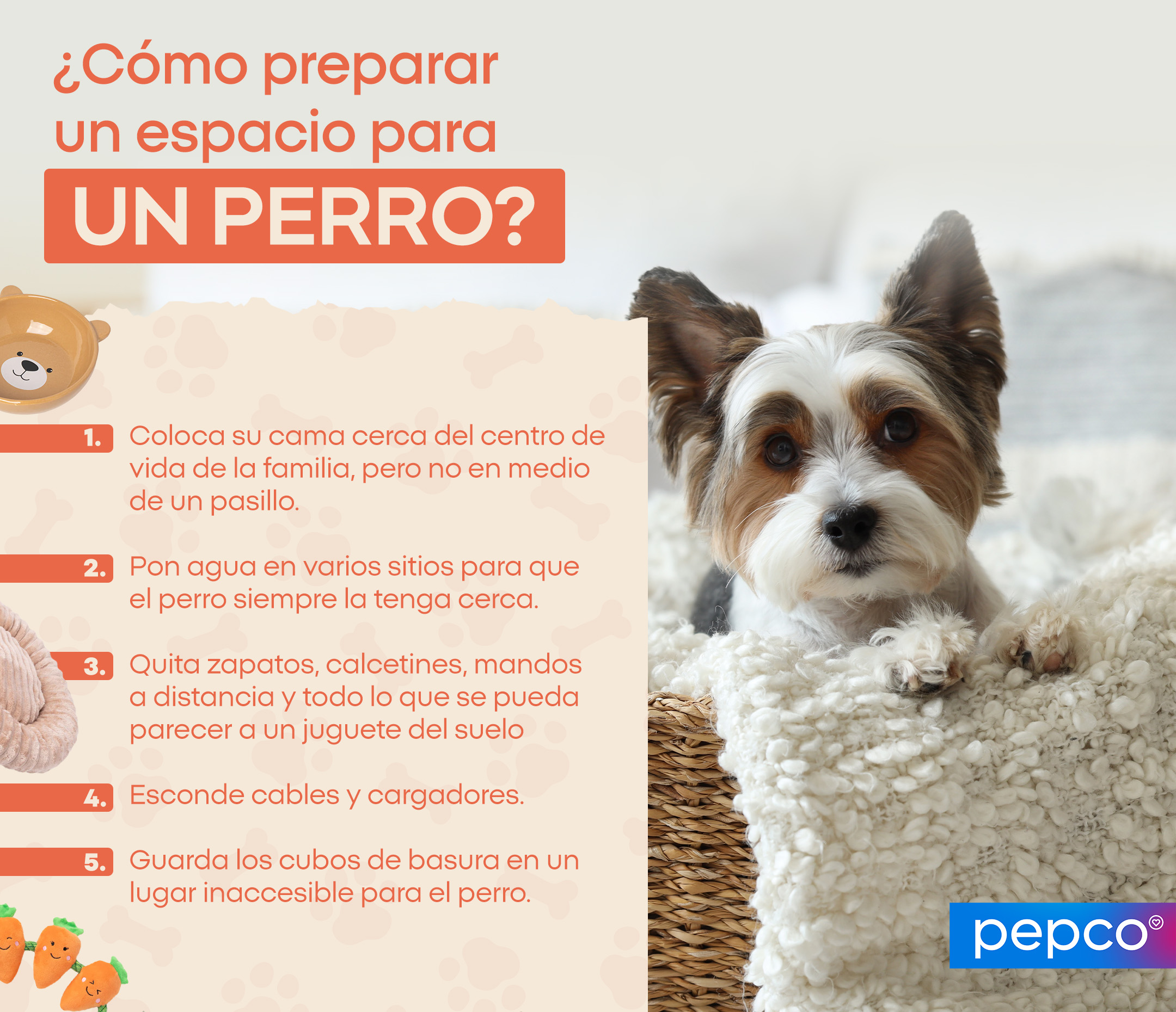 ¿Cómo preparar un espacio para un perro?